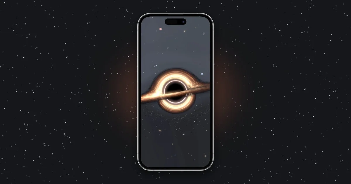 Black Hole Sandbox